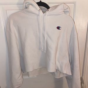 Champion hoodie (cropped)